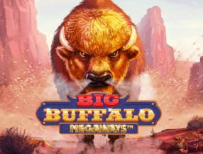 game logo by Skywind Group on mrpacho-casino.eu
