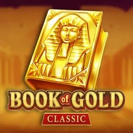 game logo by Playson on mrpacho-casino.eu