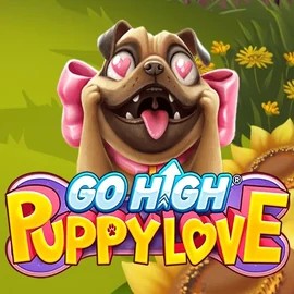game logo by RubyPlay on mrpacho-casino.eu